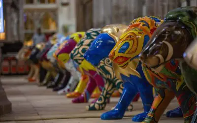 Lions roar at auction raising £220,000 for Hospital Charity