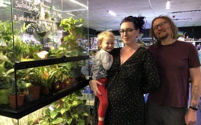 Business in Focus – Webbs Reptile, Aquatic & Pet Centre